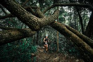 BIB: 
                            <button type="button" onclick="openModal(25707273)" class="btn btn-primary btn-sm float-right btn-popup" data-toggle="modal" data-target=".modal-high-quality">
                        <i class="fas fa-shopping-cart"></i> Add to Cart
                    </button>
                                            <button type="button" onclick="isThisMe(25707273, true)" class="btn btn-success btn-sm float-right btn-popup btn-isme hidden" data-toggle="tooltip" data-placement="bottom" title="นี่คือรูปของคุณใช่ไหม คลิกที่นี่เพื่อเอาเข้าอัลบั้ม">
                        <i class="fas fa-plus"></i> Add to album
                    </button>
                    <button type="button" onclick="isThisMe(25707273, false)" class="btn btn-warning btn-sm float-right btn-popup btn-isnotme hidden">
                        <i class="fas fa-ban"></i> Remove from album
                    </button>